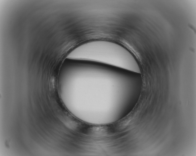X0000096190117200801181017