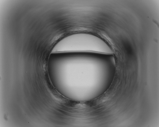 X0000096190119200801181017