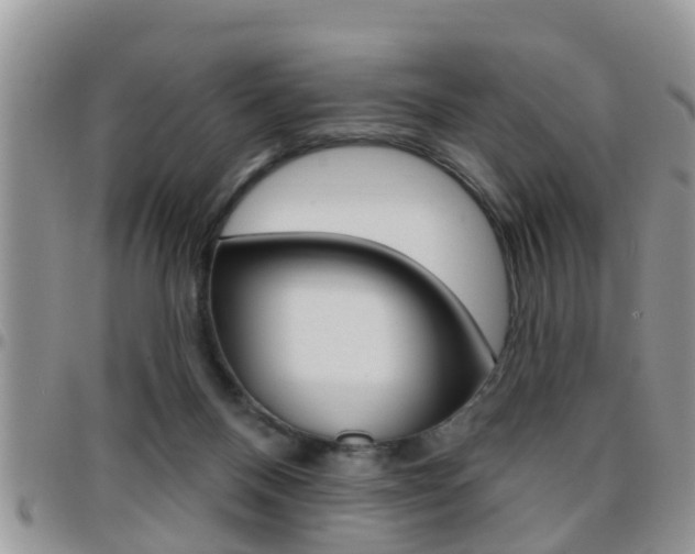 X0000096190120200801181017