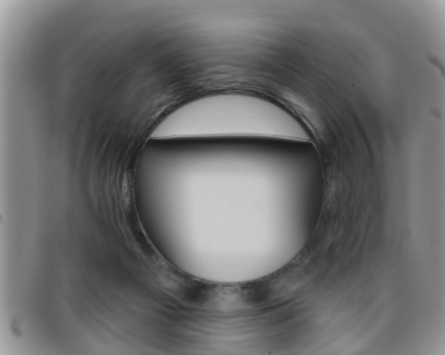 X0000096190121200801181017