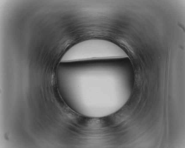 X0000096190123200801181017