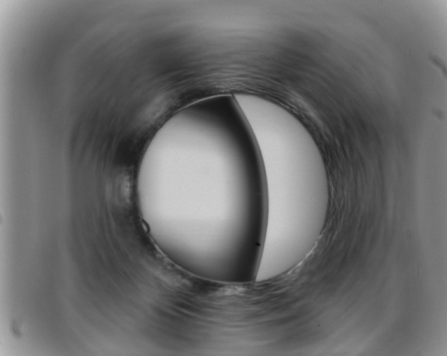 X0000096190124200801181017