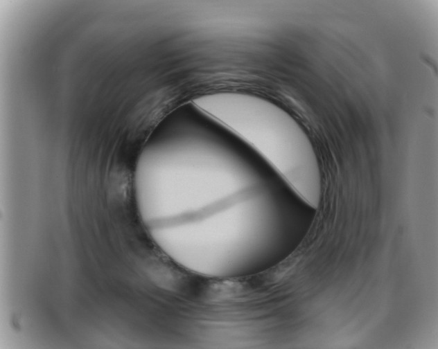 X0000096190125200801181017