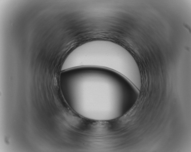 X0000096190128200801181017