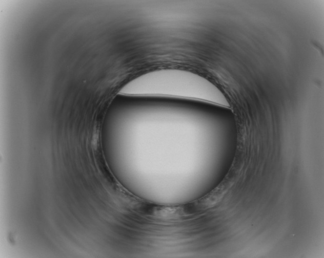 X0000096190129200801181017