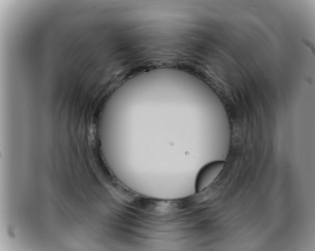 X0000096190130200801181017