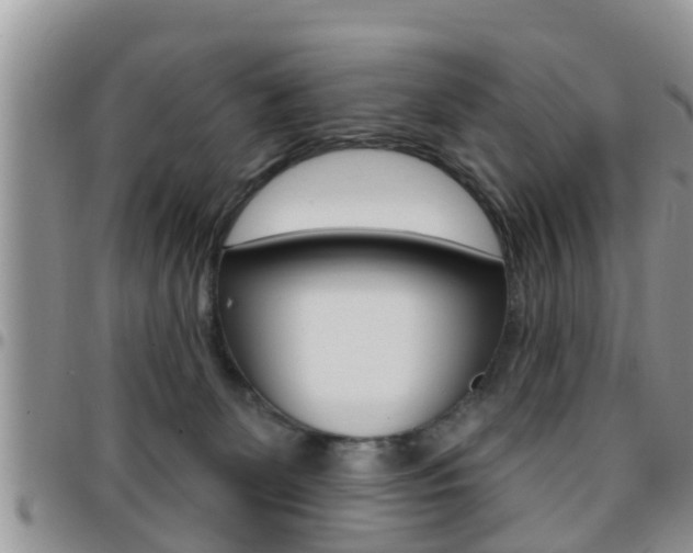 X0000096190131200801181017