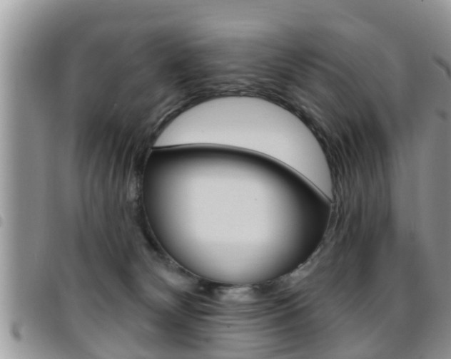 X0000096190132200801181017
