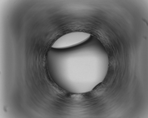X0000096190133200801181017