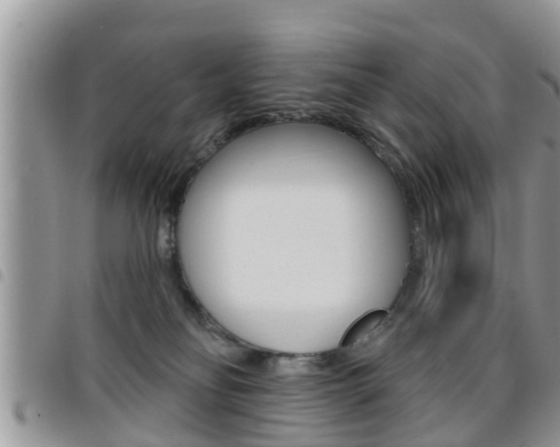 X0000096190134200801181017