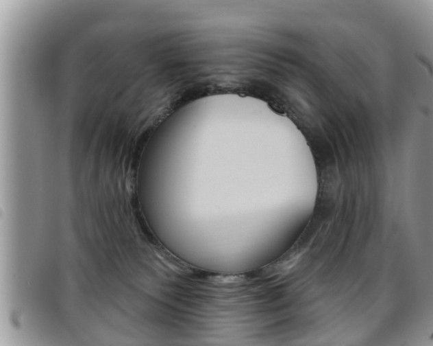 X0000096190135200801181017