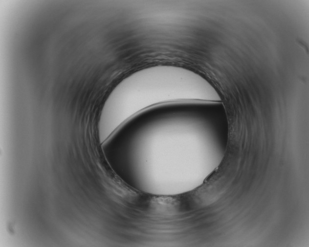 X0000096190137200801181017
