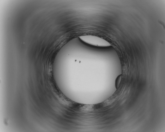 X0000096190138200801181017