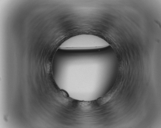 X0000096190139200801181017
