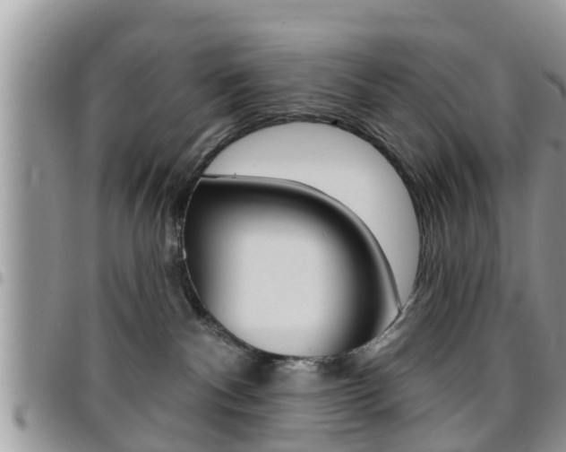 X0000096190140200801181017