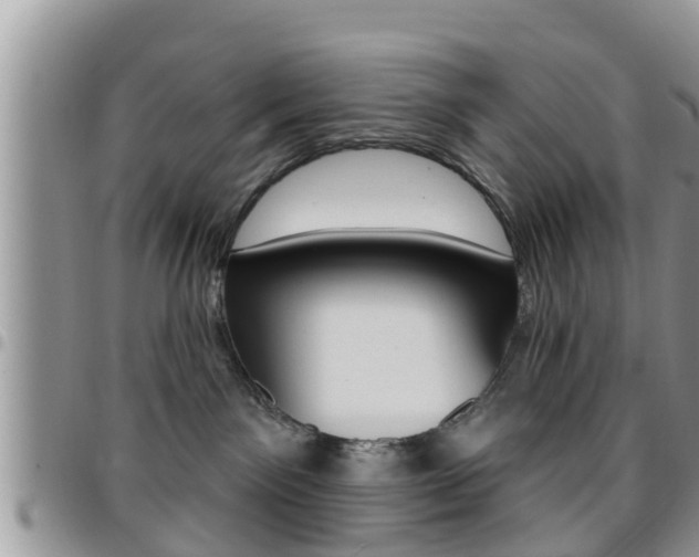 X0000096190141200801181017