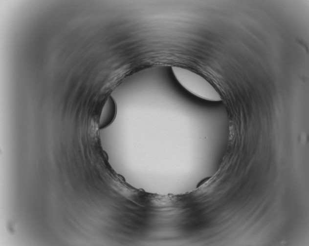 X0000096190142200801181017