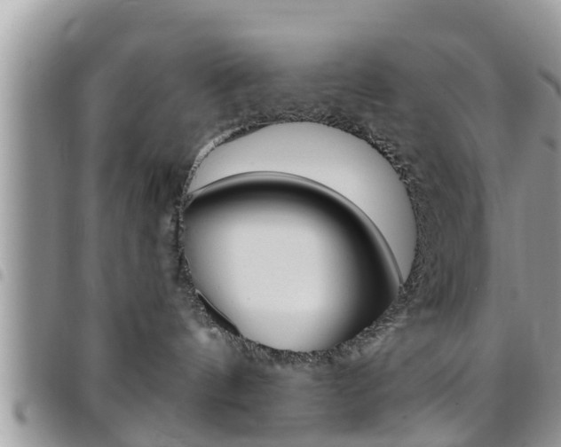X0000096190144200801181017