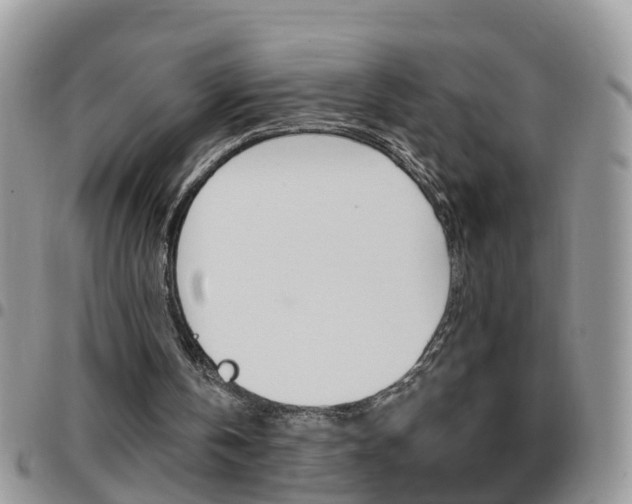 X0000096190146200801181016