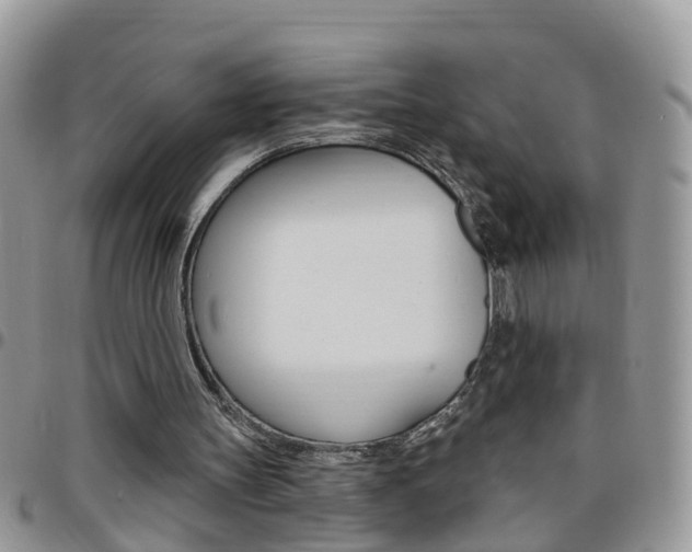 X0000096190147200801181016