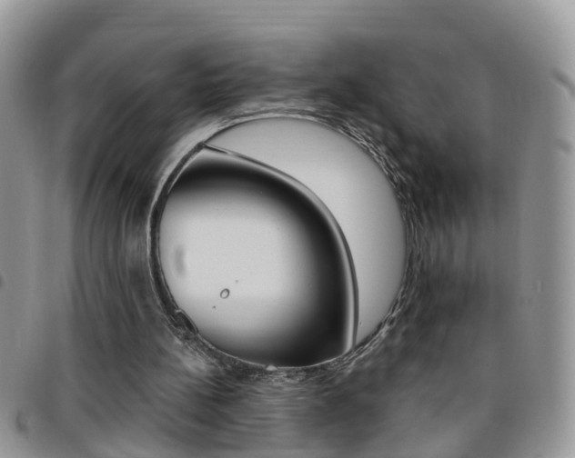 X0000096190148200801181016