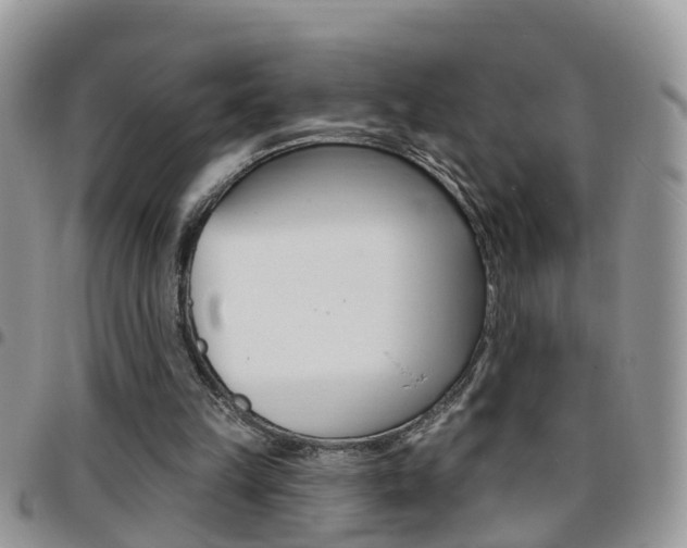 X0000096190149200801181016