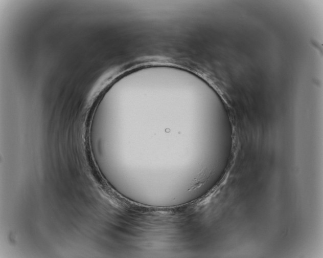 X0000096190151200801181016