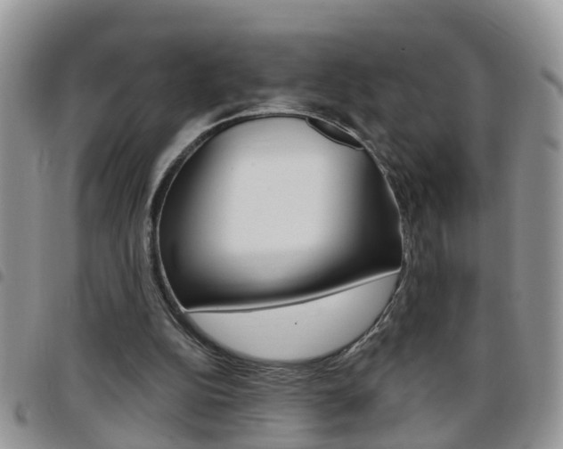 X0000096190152200801181016