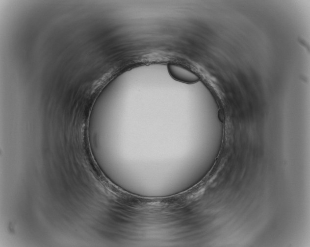 X0000096190153200801181016