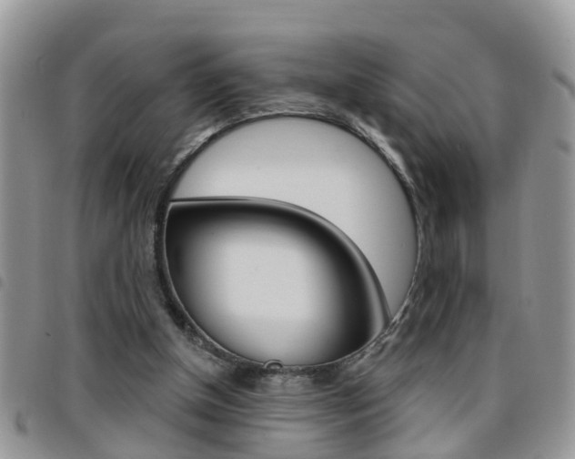 X0000096190154200801181016