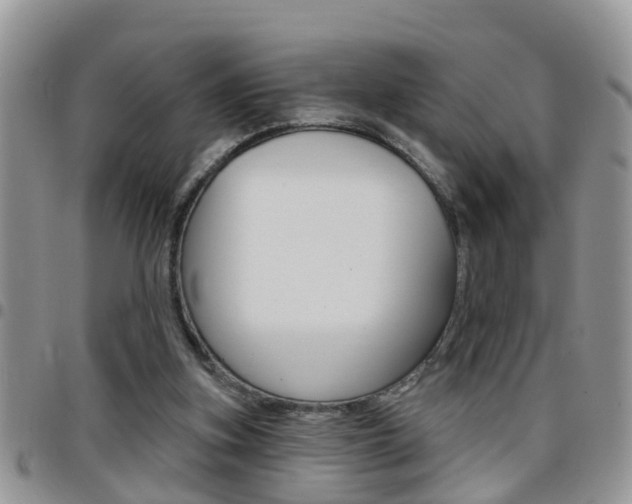 X0000096190155200801181016