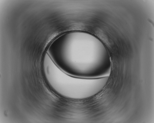 X0000096190156200801181016
