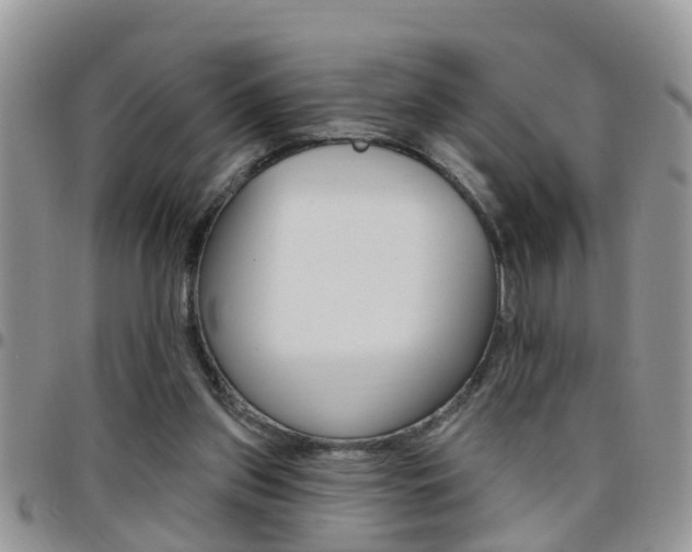 X0000096190157200801181016