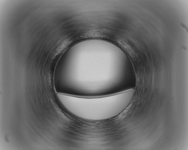 X0000096190158200801181016