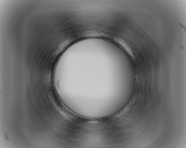 X0000096190159200801181016