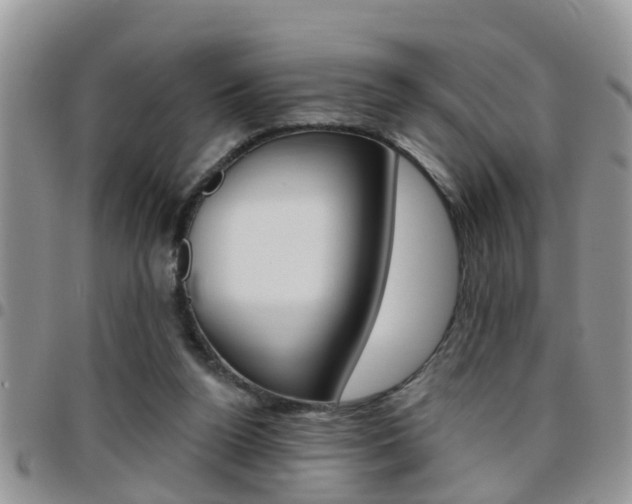 X0000096190160200801181016
