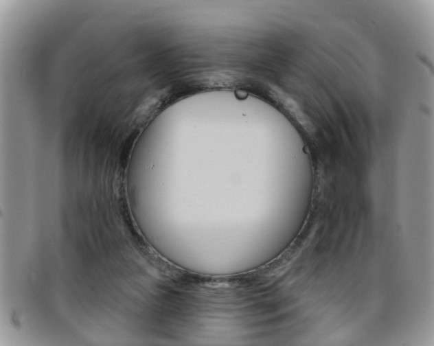 X0000096190161200801181016