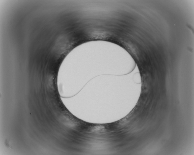 X0000096190162200801181016