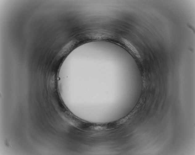 X0000096190163200801181016