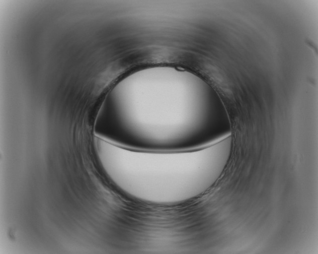 X0000096190164200801181016