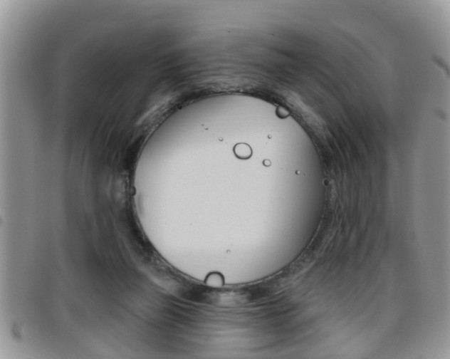 X0000096190165200801181016