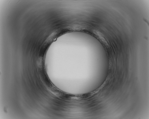 X0000096190167200801181016