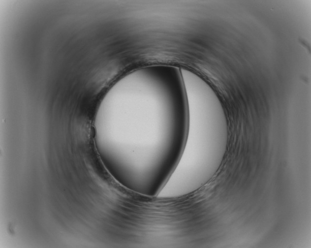 X0000096190168200801181016