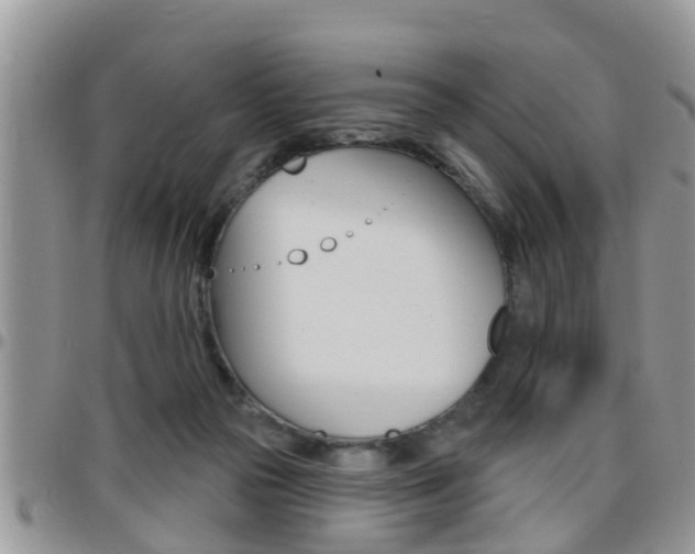 X0000096190169200801181016