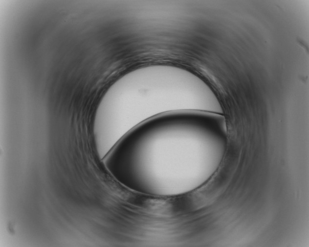 X0000096190170200801181016