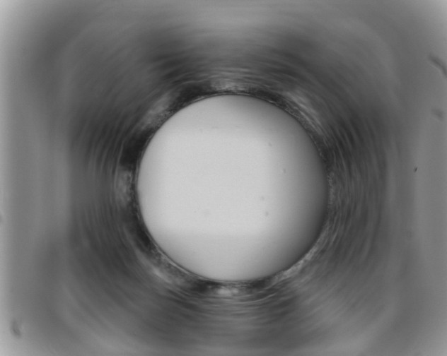 X0000096190171200801181016