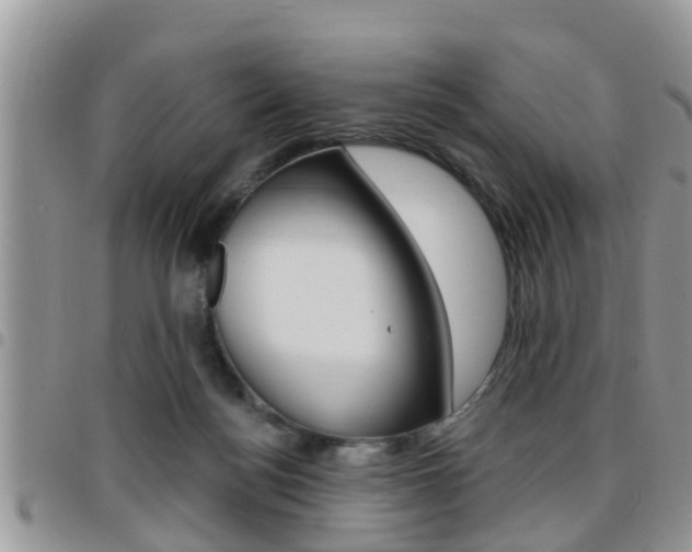 X0000096190172200801181016