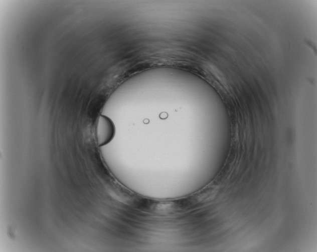 X0000096190173200801181016