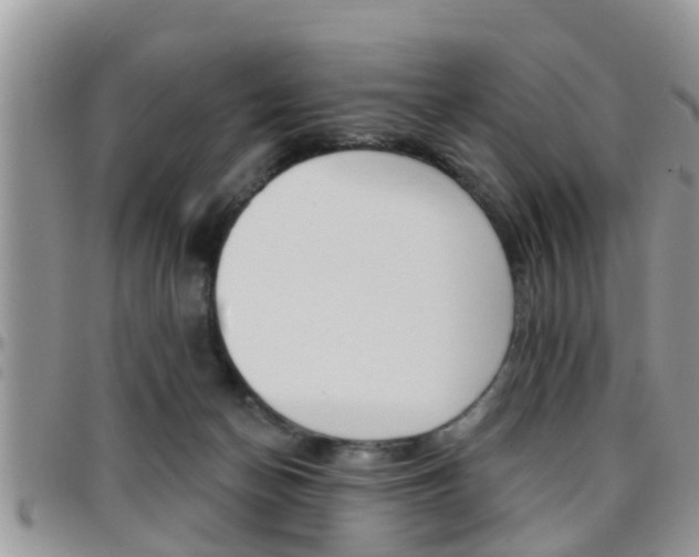 X0000096190174200801181016