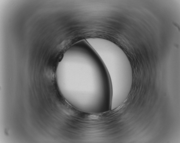 X0000096190176200801181017